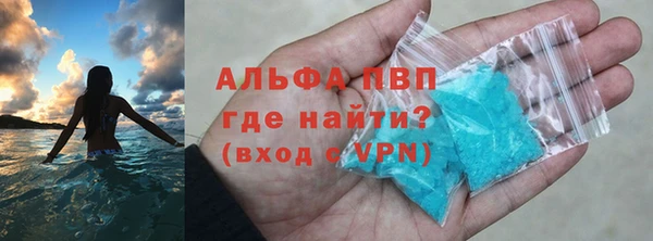 ПСИЛОЦИБИНОВЫЕ ГРИБЫ Туринск