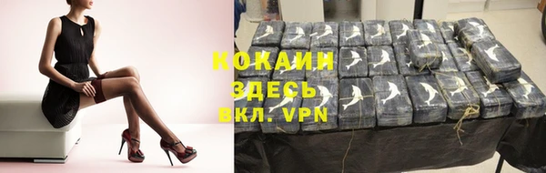 ПСИЛОЦИБИНОВЫЕ ГРИБЫ Туринск