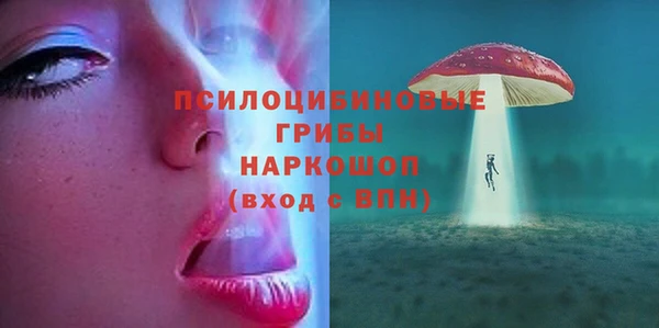 дживик Кемь