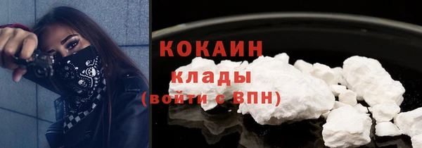 дживик Кемь