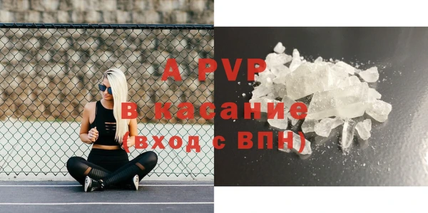 ПСИЛОЦИБИНОВЫЕ ГРИБЫ Туринск