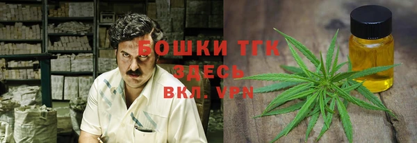 прущий лед Усмань