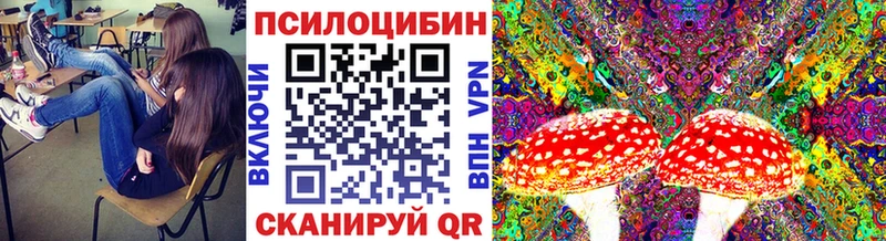 нарко площадка клад  блэк спрут рабочий сайт  Орехово-Зуево  Псилоцибиновые грибы MAGIC MUSHROOMS 